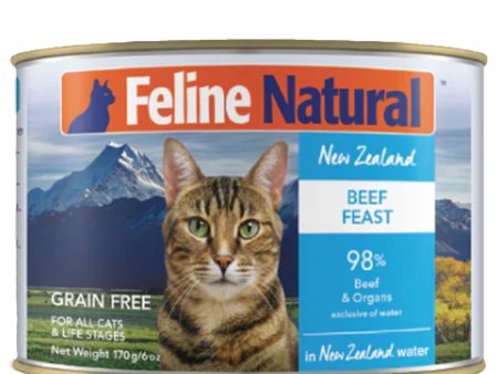 Feline Natural Canned Beef Feast Cat Food Fashion