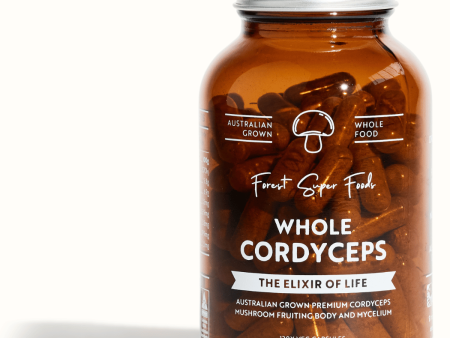 Australian Grown Cordyceps Mushroom Hot on Sale