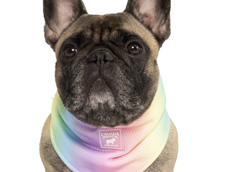 Canada Pooch Cooling Rainbow Dog Bandana Hot on Sale