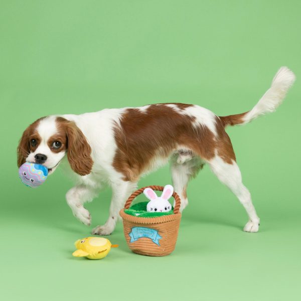 Fringe Egg Hunt Burrow Dog Toy Set - 4 Pack For Discount