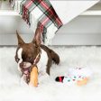 Fringe Hole Lot of Fun Dog Toys Fashion