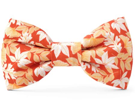 The Foggy Dog Bowtie - Autumn Leaves Cheap