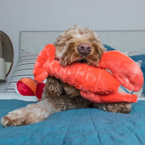 Fluff & Tuff Manny Lobster Dog Toy Cheap