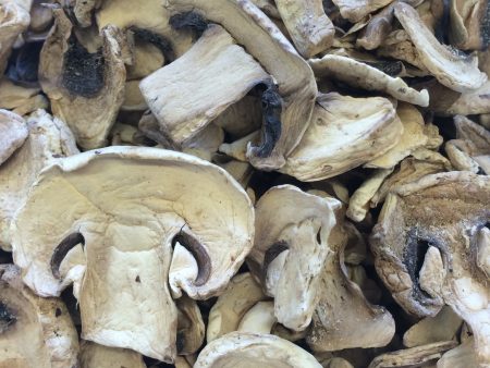 Dried Organic Champignon Mushrooms on Sale