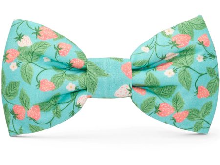 The Foggy Dog Bowtie - Berry Patch Supply