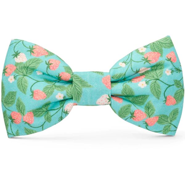 The Foggy Dog Bowtie - Berry Patch Supply