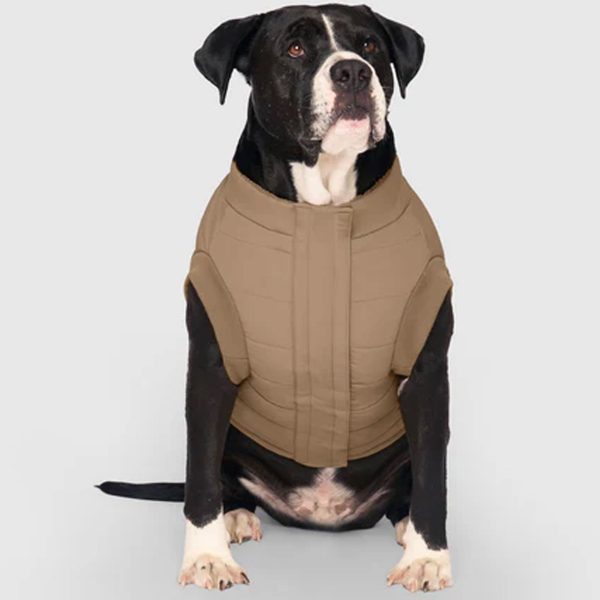 Canada Pooch Cool Factor Puffer Jacket - Tan Online