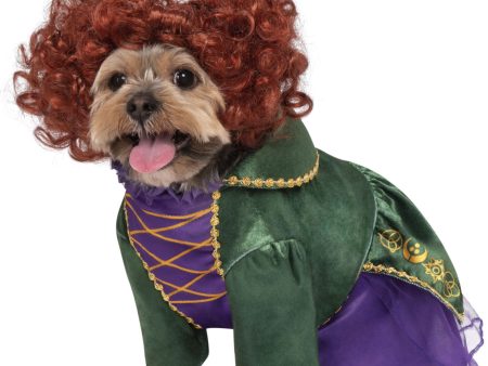 Rubie s Hocus Pocus Winifred Pet Costume For Discount