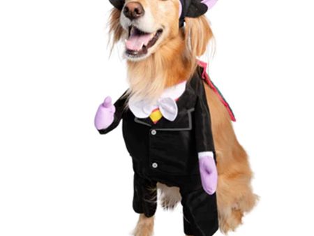 Pet Krewe The Count Costume Online now