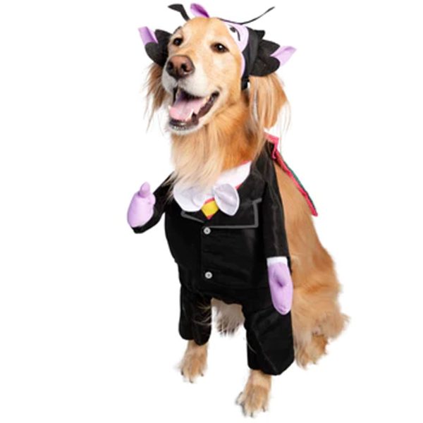 Pet Krewe The Count Costume Online now