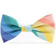 The Foggy Dog Bowtie - Over the Rainbow Supply