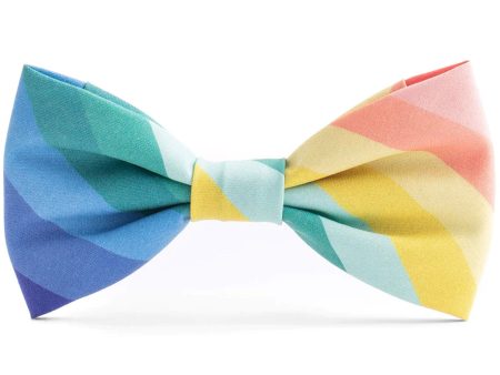 The Foggy Dog Bowtie - Over the Rainbow Supply