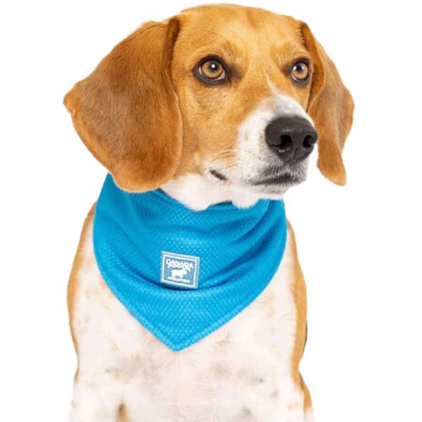 Canada Pooch Cooling Blue Dog Bandana on Sale