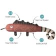 Fringe Canvas Squeaker Dog Toy - Chameleon Hot on Sale