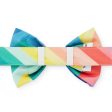 The Foggy Dog Bowtie - Over the Rainbow Supply