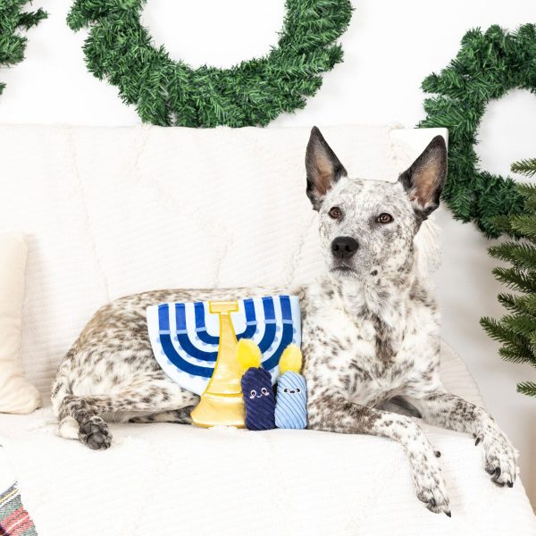 Fringe A Lit Hanukkah Burrow Dog Toys - 3 pack on Sale