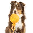 Huxley & Kent Jack O Lantern Safety Pop Dog Toy Online now