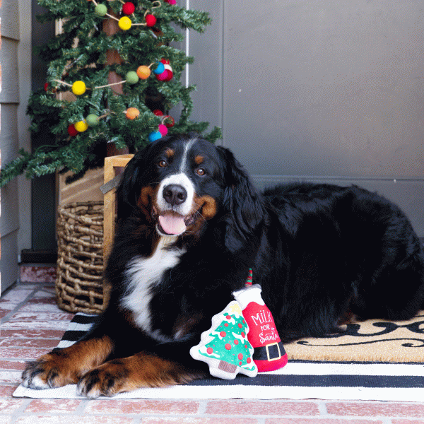 Fringe Santa Ready - Dog Toys on Sale