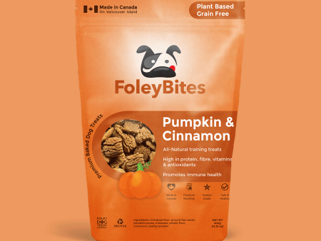 Pumpkin & Cinnamon For Cheap