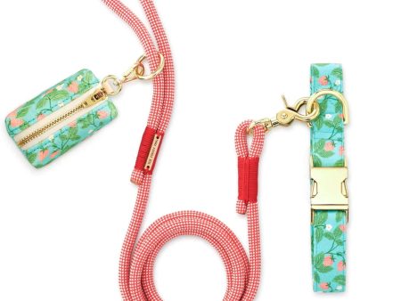 The Foggy Dog Collar, Leash & Waste Bag Set - Berry Patch Online