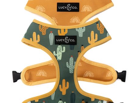 Lucy & Co. Looking Sharp Cactus Reversible Harness Sale