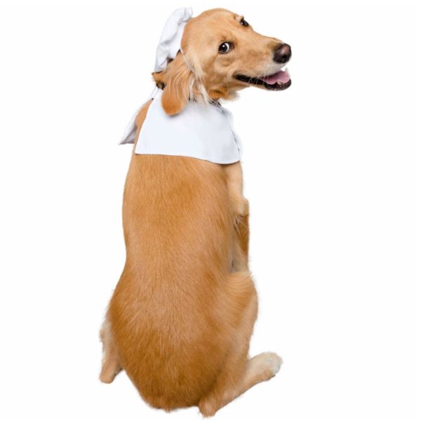 Pet Krewe Chef Costume Sale