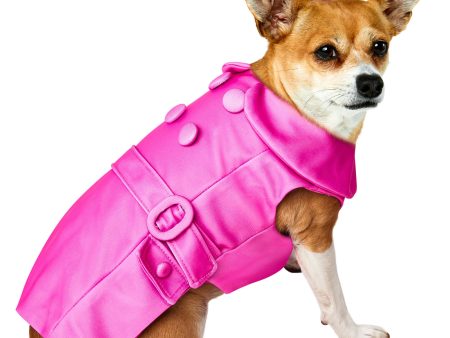 Rubie s Legally Blonde Bruiser Woods Dog Costume - Small Cheap