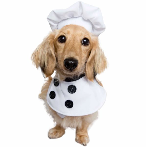 Pet Krewe Chef Costume Sale