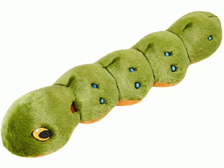 Fluff & Tuff Katie Caterpillar Dog Toy For Sale