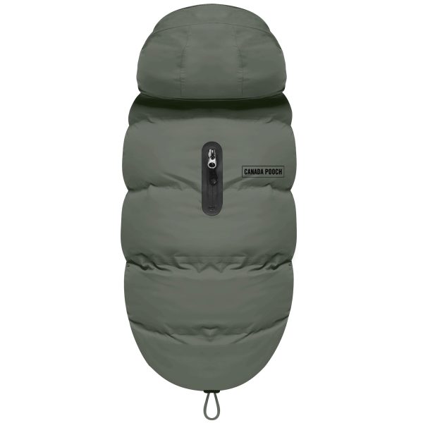 Canada Pooch The Waterproof Puffer - Green Online now