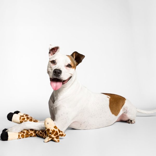 Fluff & Tuff Nelly Giraffe Plush Dog Toy - 13in For Cheap