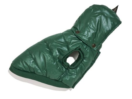 Found My Animal Puffer with Hood - Hunter Green Online Hot Sale