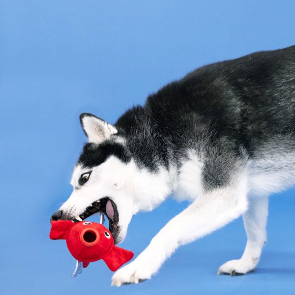 Fringe Plush & Rubber Fish Dog Toy Online