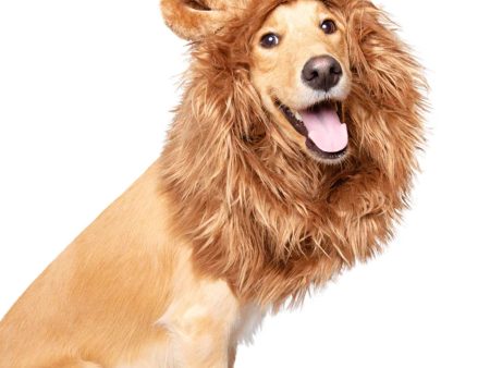 Pet Krewe Lion s Mane Costume Online Hot Sale