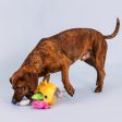 Fringe Into the Deep Burrow Dog Toys For Sale