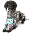 Fuzzyard Deaddy Bear Scary Cute Dog Toy on Sale