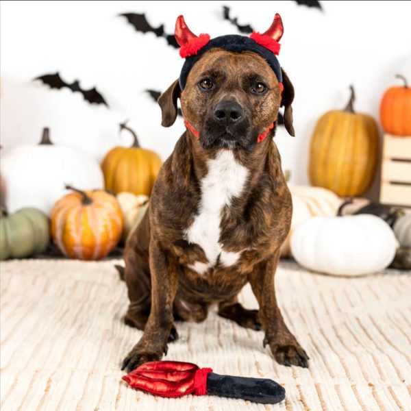 Fringe Cute Lil Devil Dog Toys Online Hot Sale