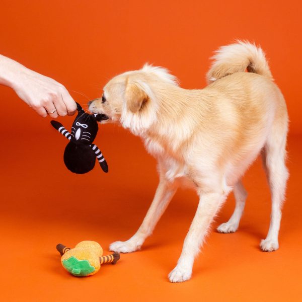 Fringe Oh My Gourd Dog Toys Online now