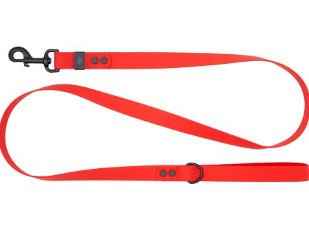 RC Pets Waterproof Dog Leash 3 4 x5  - Red Fashion