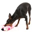 Fuzzyard Flat Out Flo Flamingo Dog Toy Sale