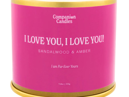 Companion Candles 11.8oz Candle - I Love You, I Love You! (Sandalwood Amber) on Sale