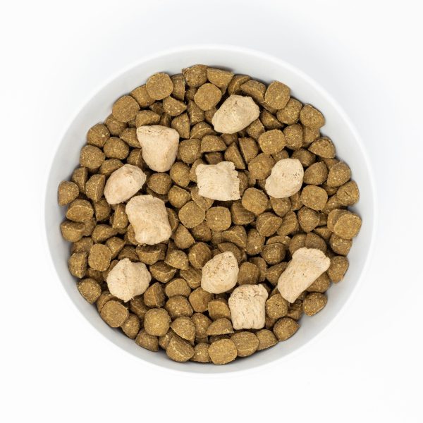 Stella & Chewy s Red Meat Recipe Raw Blend Baked Dog Kibble with Grains Online