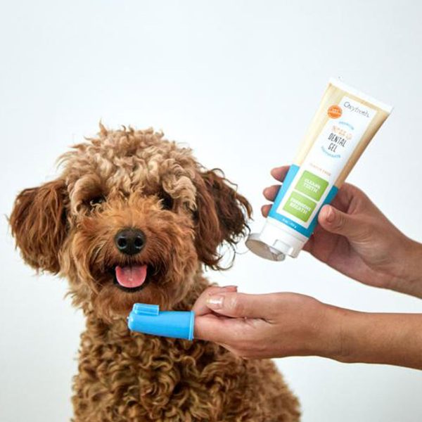 Oxyfresh Pet Toothpaste Finger Brush Kit Oxygene - 4 oz Online Sale