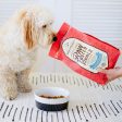 Stella & Chewy s Raw Coated Wild-Caught Whitefish Dog Kibble Online Sale