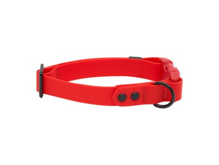 RC Pets Waterproof Dog Clip Collar - Red Online Hot Sale