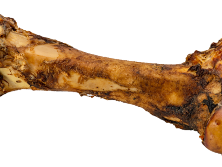 Butcher s Block Pet Treats Individual  Goliath  - 12-14  Beef Femur Bone Cheap