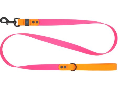 RC Pets Waterproof Dog Leash 1 x5  - Azalea Orange For Sale