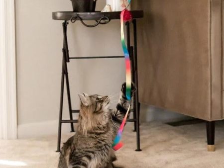 Travel Cat  The Rainbow Dancer  Cat Teaser Toy Wand Supply