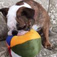 Fluff & Tuff Beach Ball Dog Toy Discount