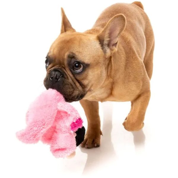 Fuzzyard Flat Out Flo Flamingo Dog Toy Sale